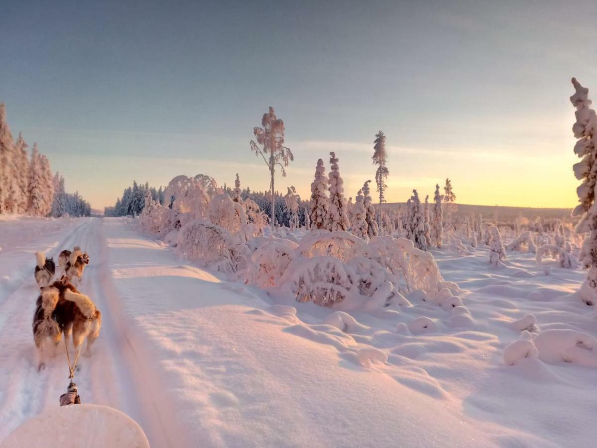 Authentic Cottage In Swedish Lapland Lycksele Luaran gambar