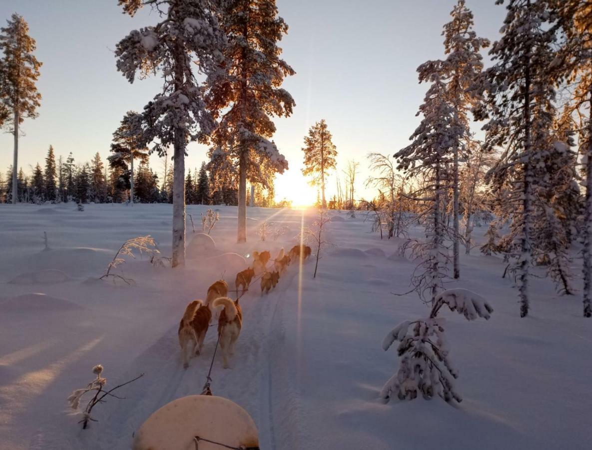 Authentic Cottage In Swedish Lapland Lycksele Luaran gambar